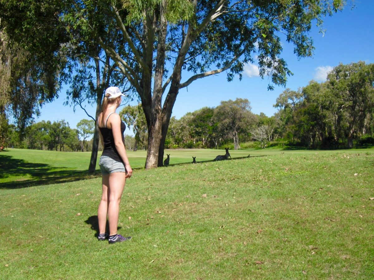 Australië