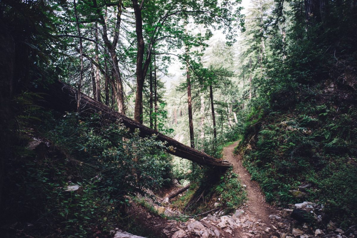 Trailrunning – Ga je het avontuur met mij aan?