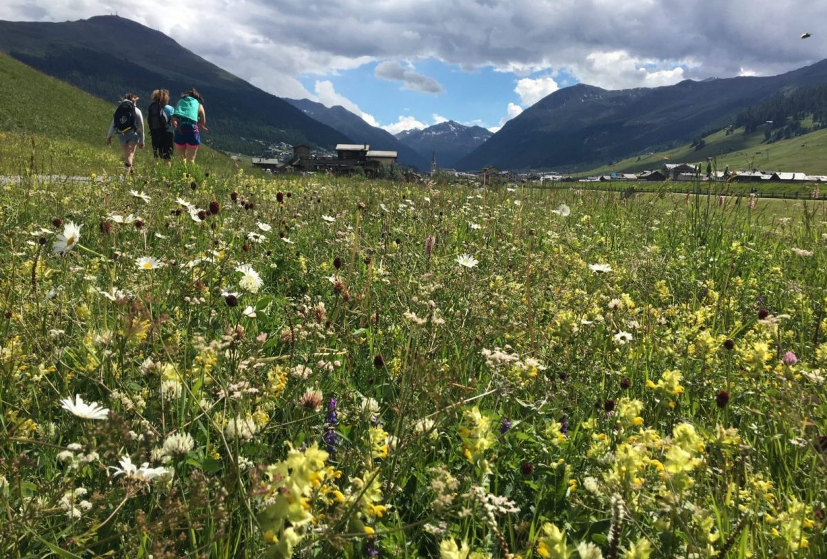 Actief en relaxt: zomervakantie in Livigno