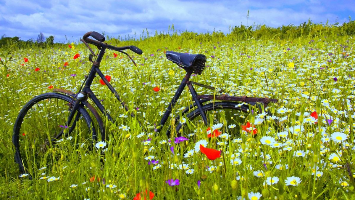 Fit op de fiets