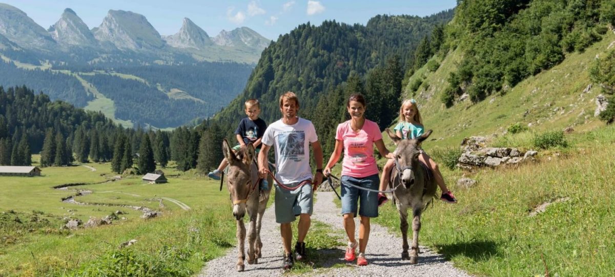 Op pad met een Zwitserse local: My Swiss Experience