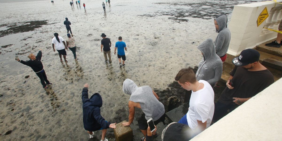 De oceaan verdwenen op de Bahama's