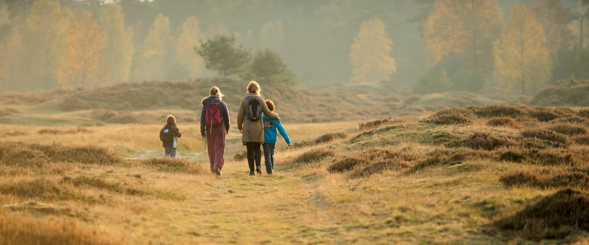 Wat is de mooiste wandelroute van Nederland en België?