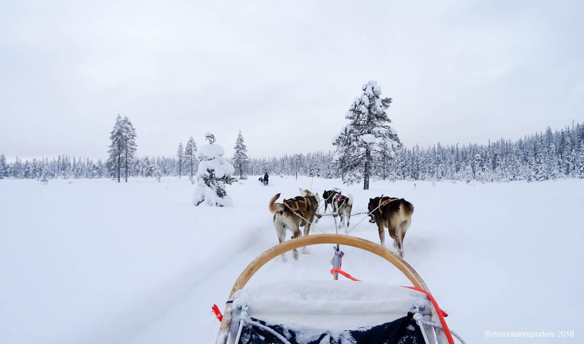 Spectaculair: met de huskyslee door de Noorse wildernis