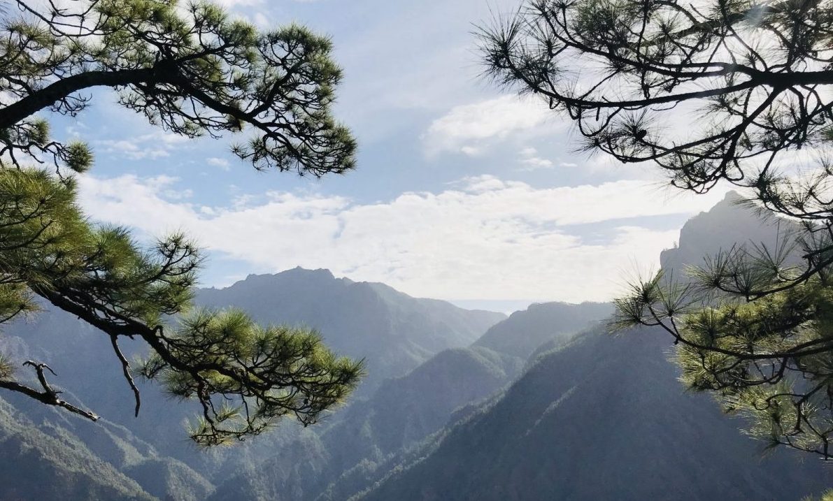 Hike La Caldera de Taburiente op La Palma
