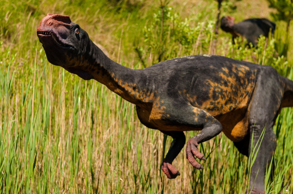 Zeldzame voetsporen van dinosauriërs ontdekt op Isle of Skye