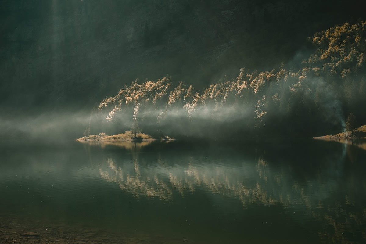 Prehistorische wolf of nazaat van Bigfoot ontdekt in Montana?