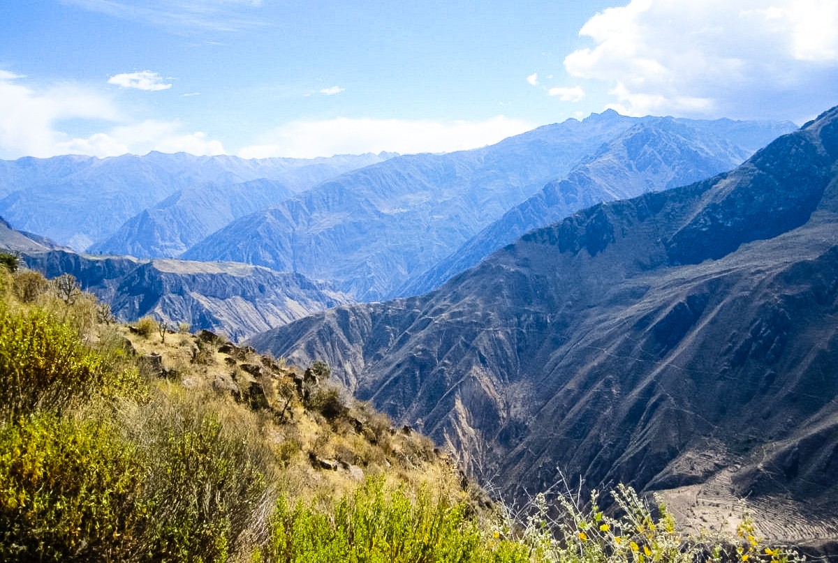 In de Colca Canyon in Peru cirkelen de condors boven je hoofd