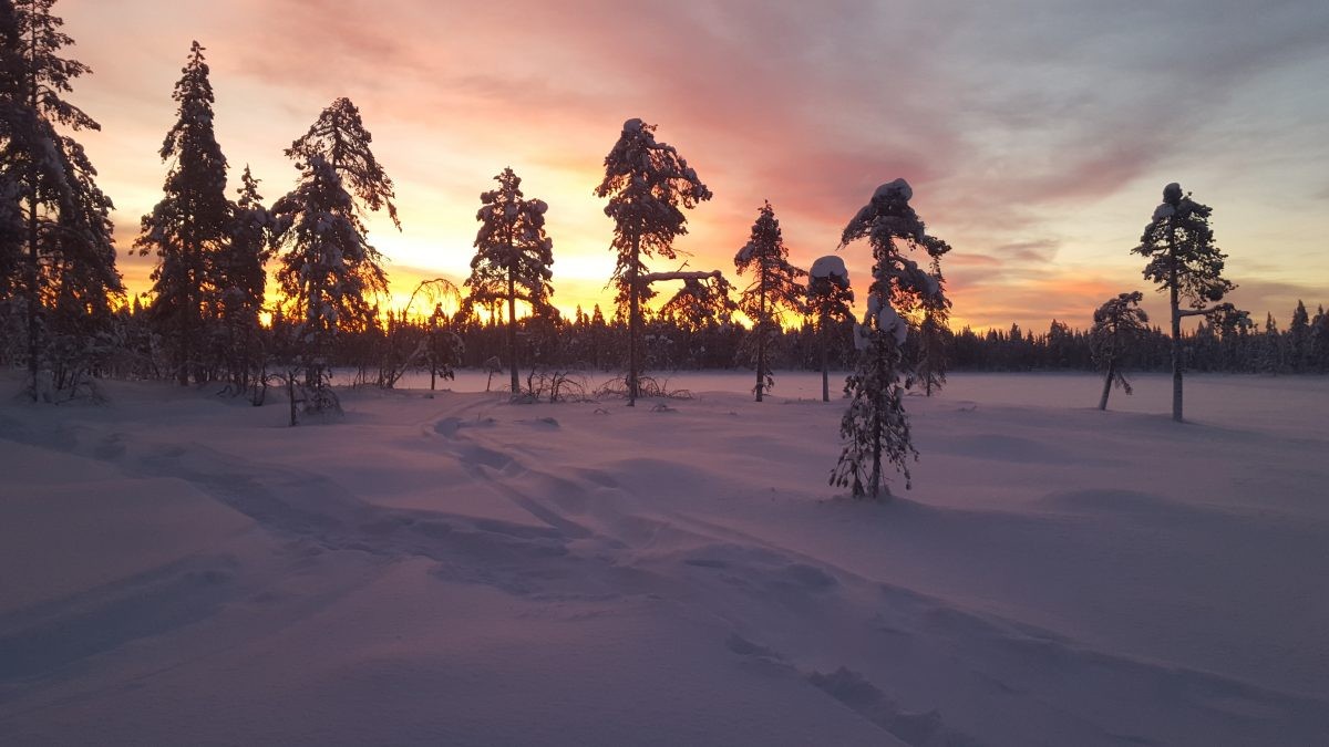 Reisverslag Fins Lapland, een ultiem gevoel van vrijheid en avontuur