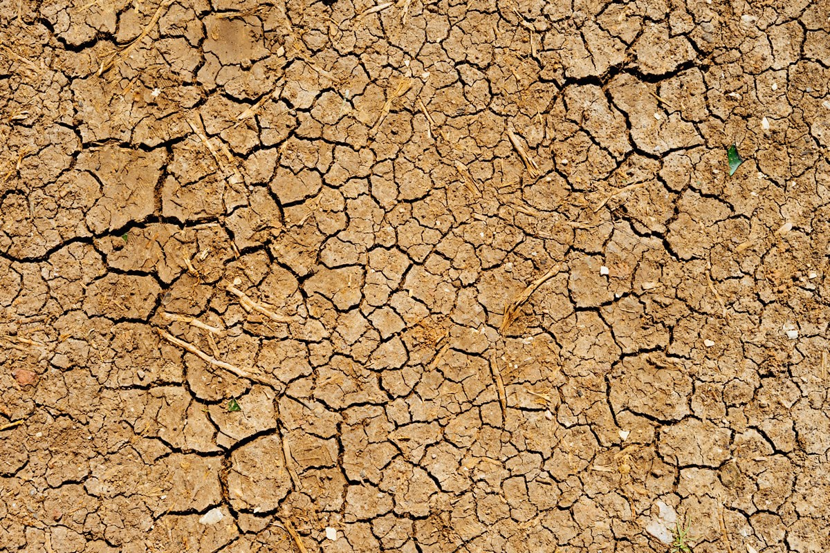 droogte
