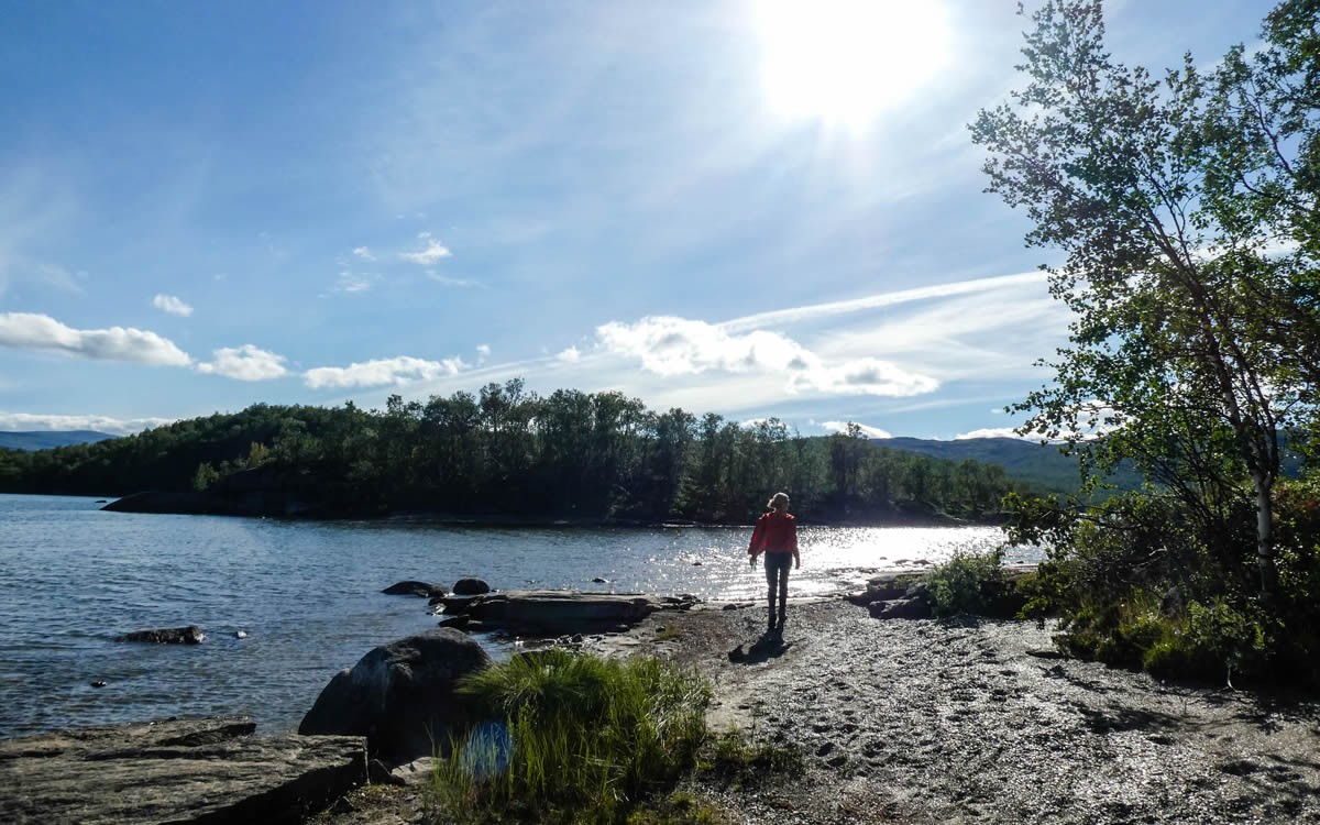 Reisverslag Lapland | Rendieren en wandelen op de poolcirkel