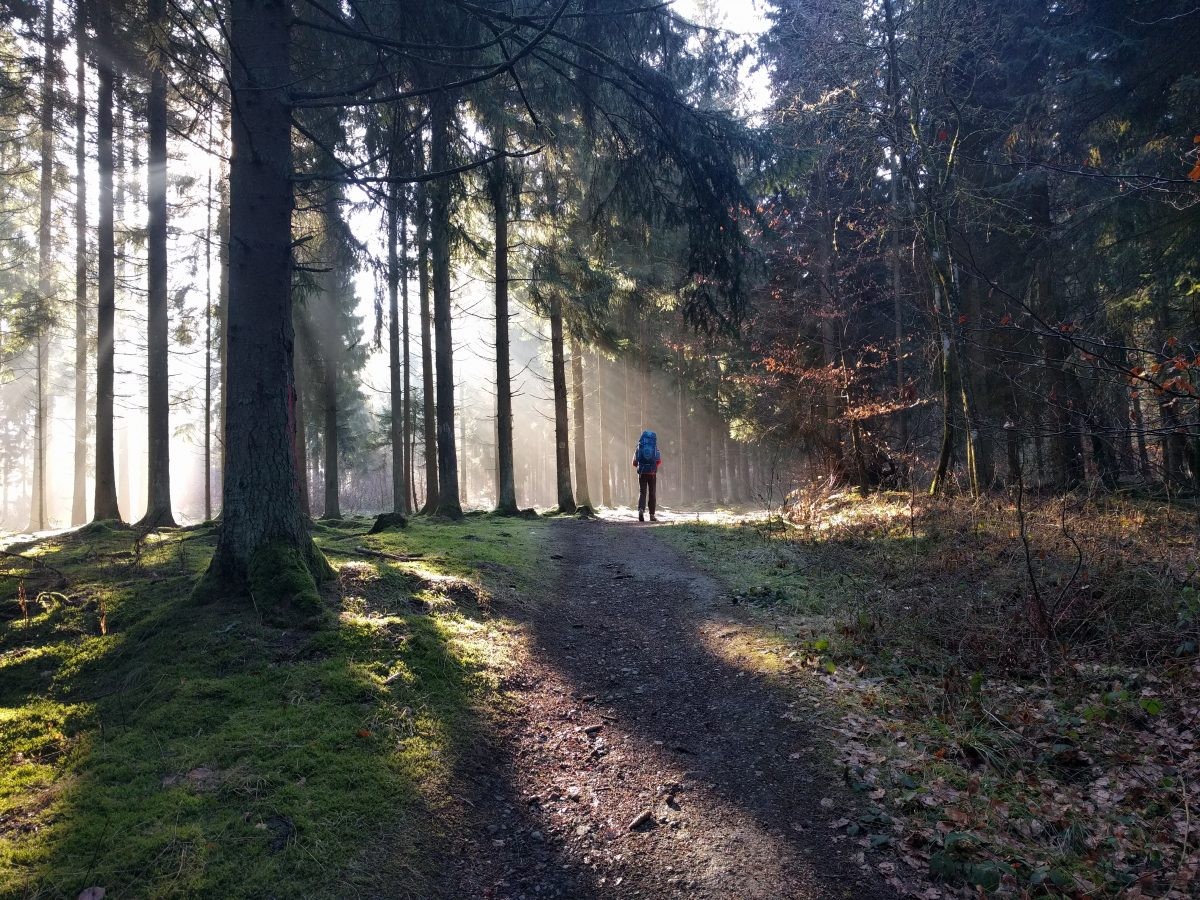 De Duitse Eifelsteig in de winter!?
