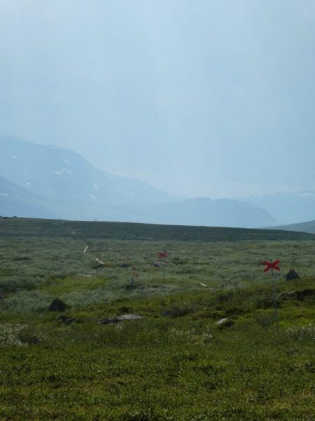 Kungsleden