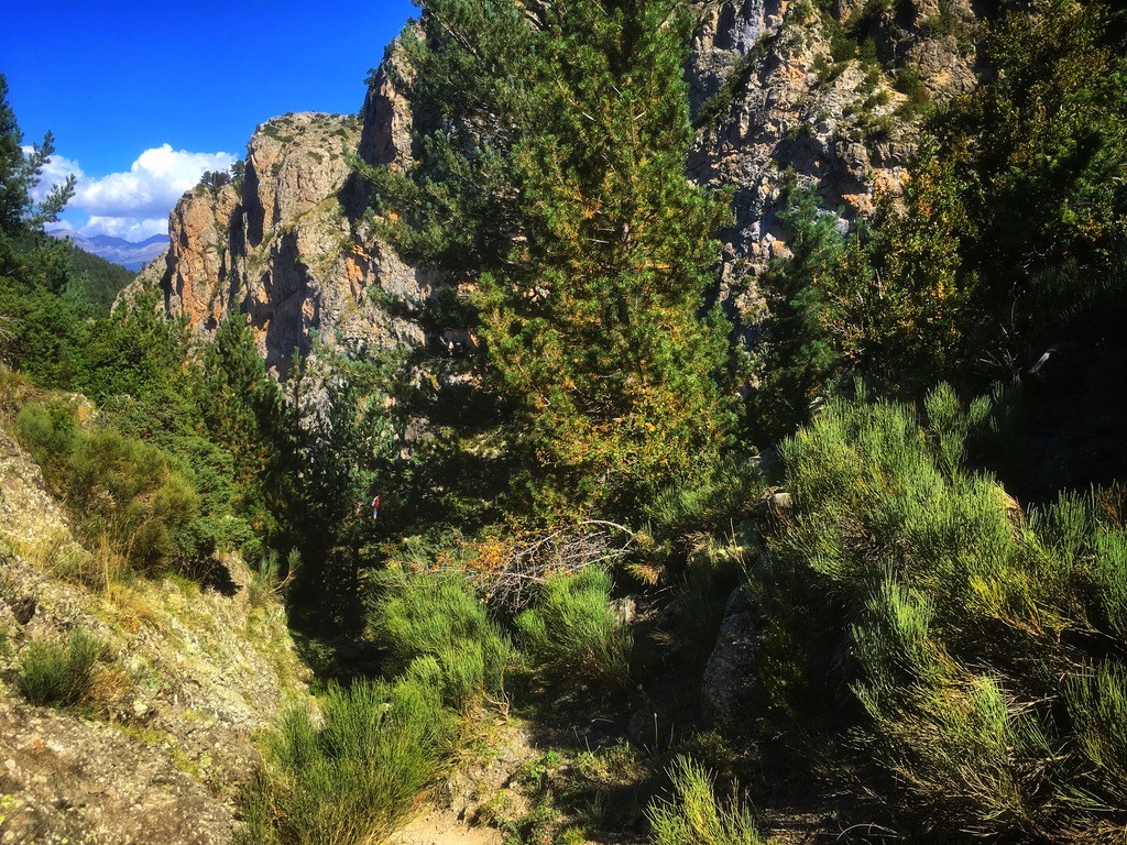 Hoe ik de finish van de Salomon Pirineu Marathon in Catalonië haalde
