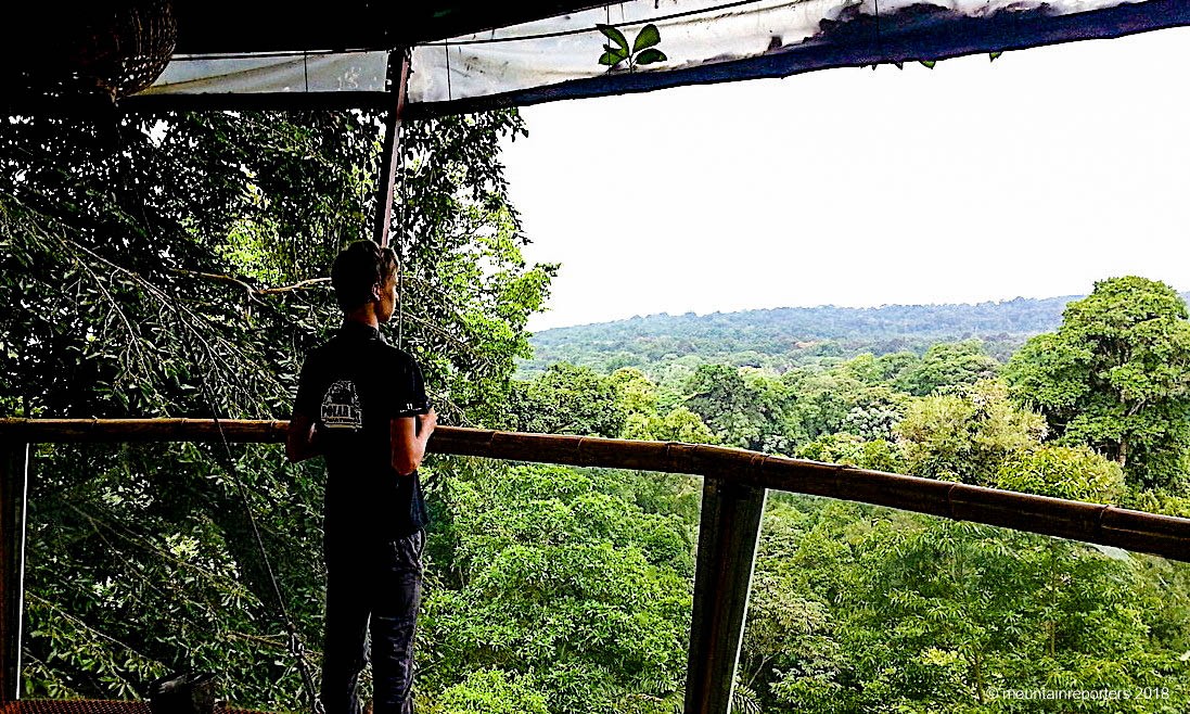 Costa Rica: slapen in een duurzame boomhut op grote hoogte