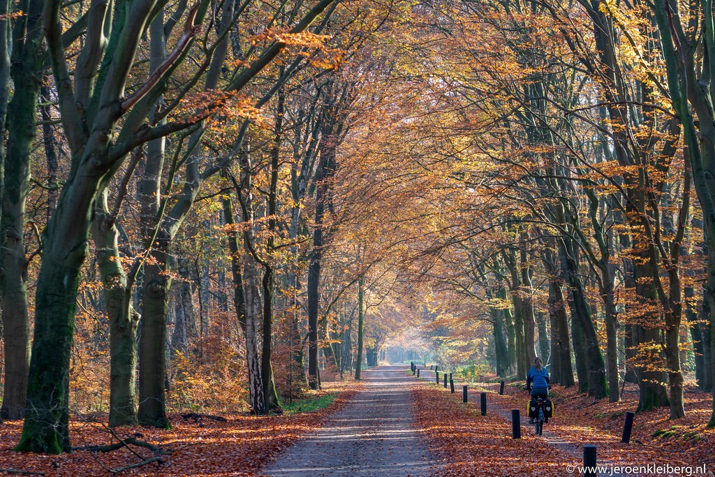 REISVERSLAG | Herfstfietsttocht over het Let de Stigterpad