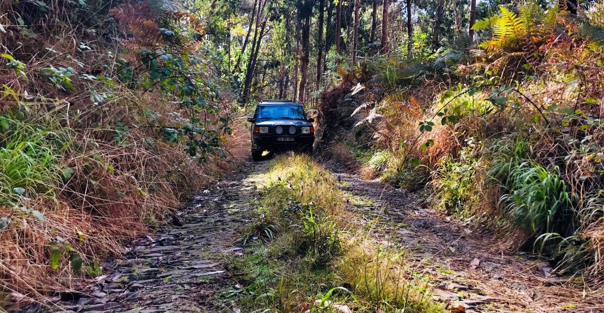 Verken het veelzijdige Madeira met een jeep tour!