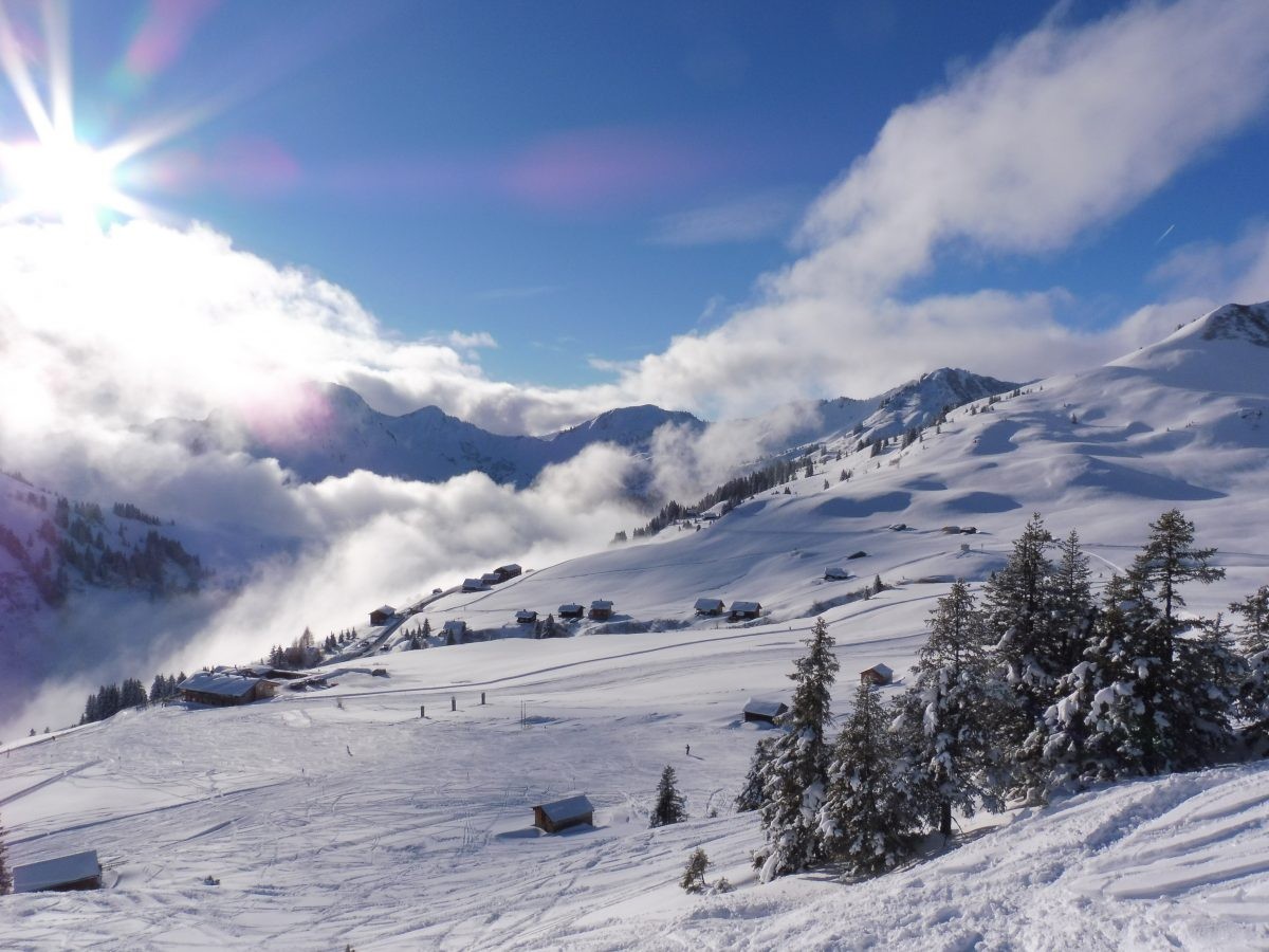 Unieke ervaringen met bizarre omstandigheden in Bregenzerwald in Vorarlberg