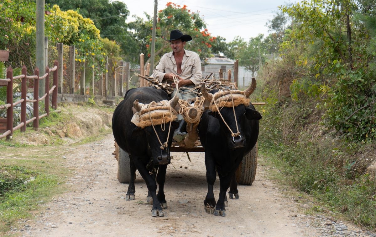 De fietsavonturier verkent Cuba, een land van contrasten