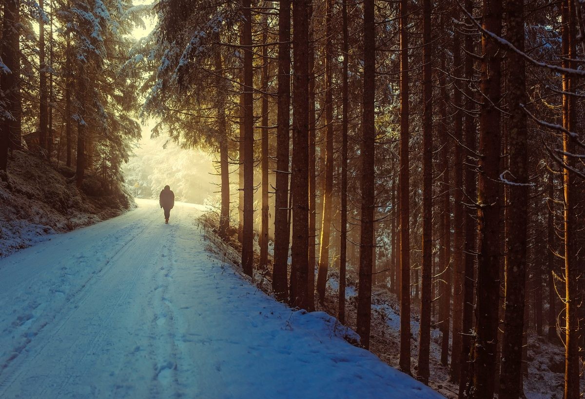 Ben je al bekend met winterwandelen?