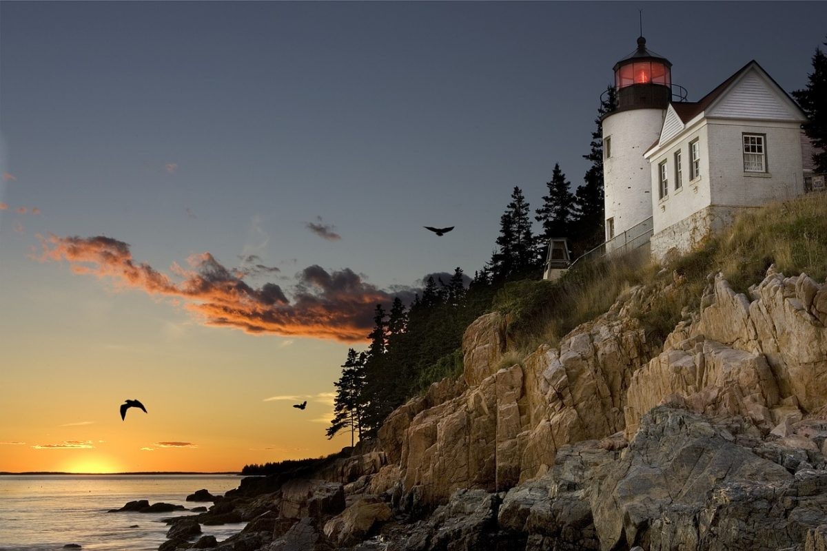 Supertoffe Airbnb-accommodaties in Amerika