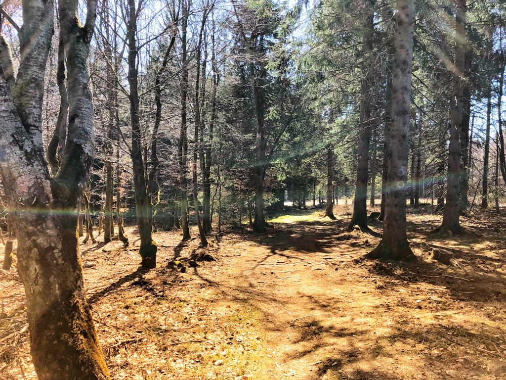 Moet je gaan mountainbiken en wandelen in het Duitse Winterberg?