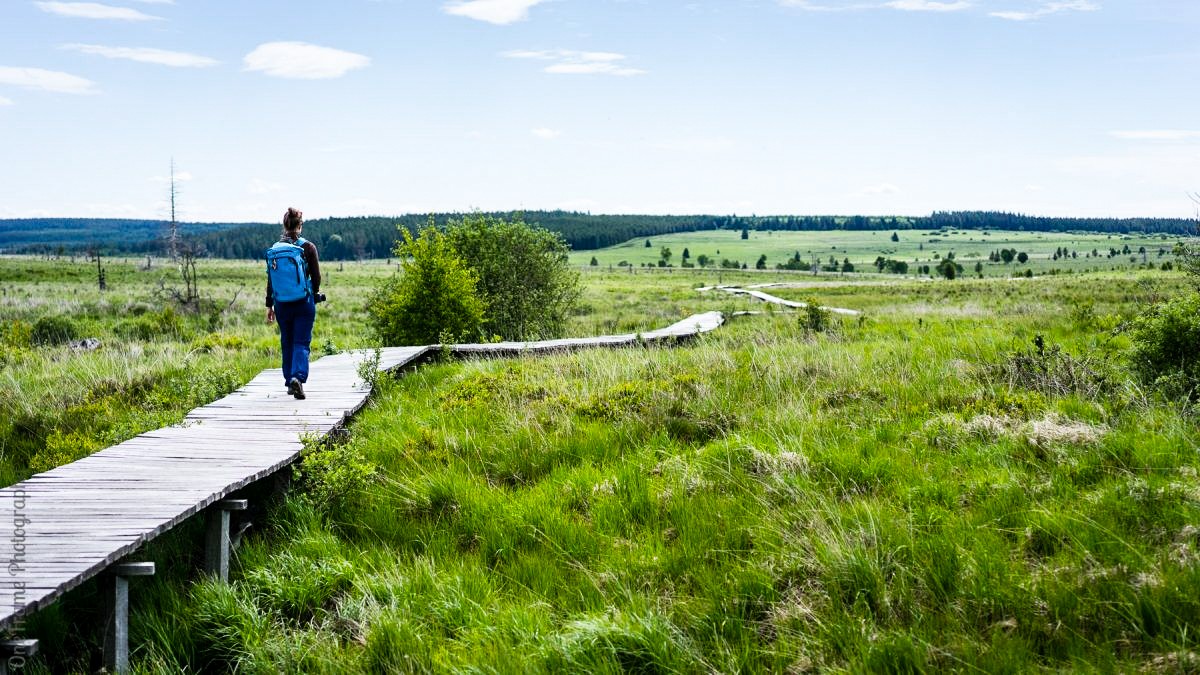 De Belgische Ardennen: perfecte wandelpaden dichtbij huis!