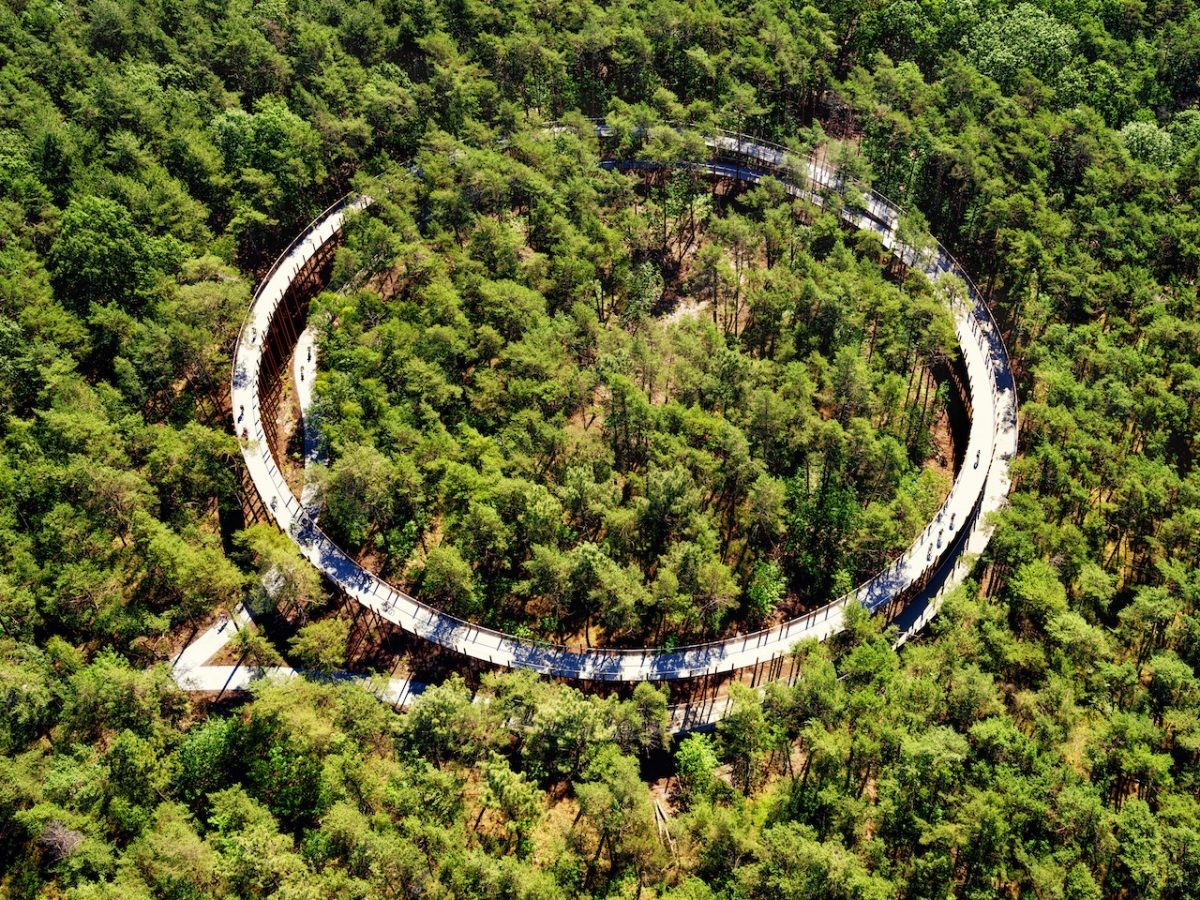 Spectaculair fietspad door de bomen in België!