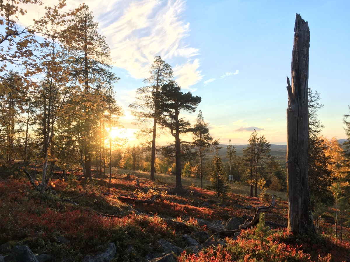 TIP: wandelreis door drie nationale parken in Fins Lapland