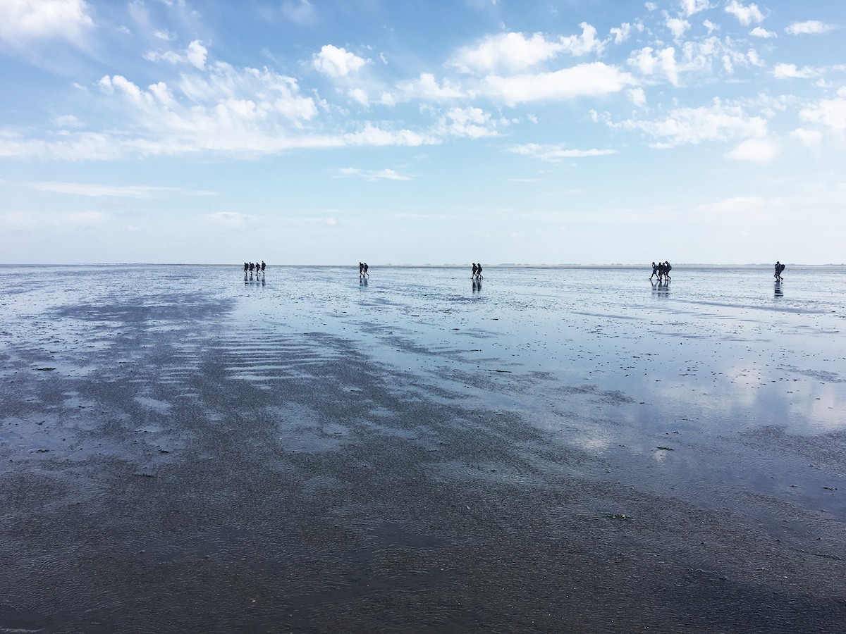 OutdoorDichtbij | Off Track door de Groningse wildernis