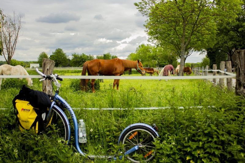 Extreme Urban Adventure: 100 kilometer door Duisburg op een knalblauwe step