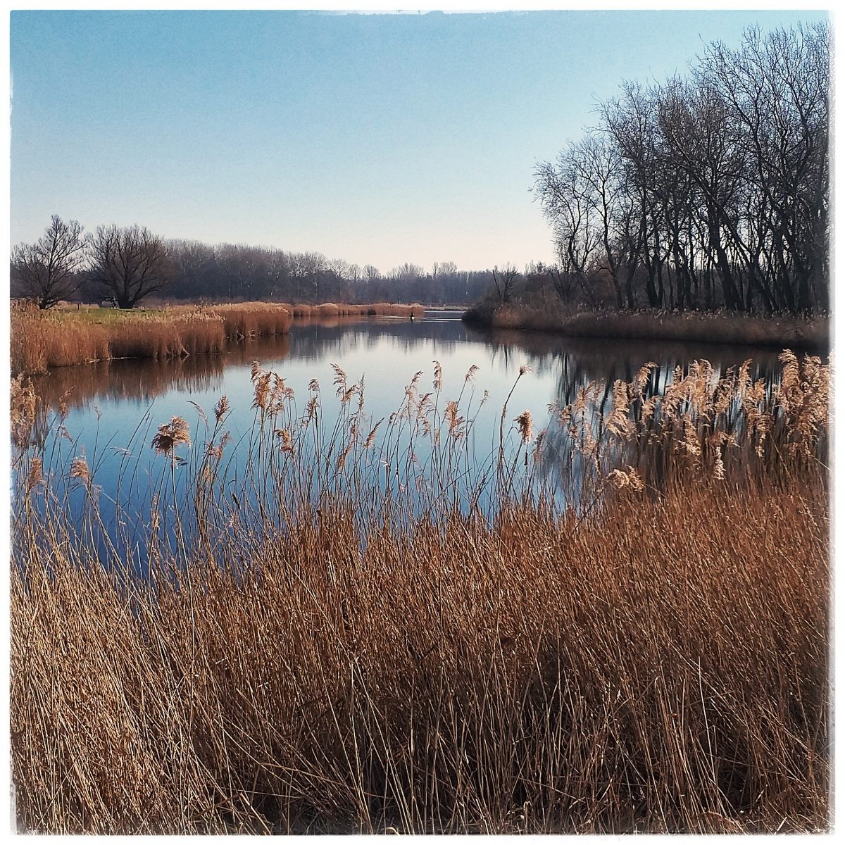 Hiken in Holland 2 | De Twiskeroute in Noord-Holland