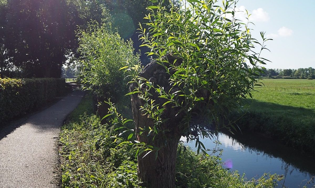 #OutdoorDichtbij: Wandelen in het land van Ravenstein