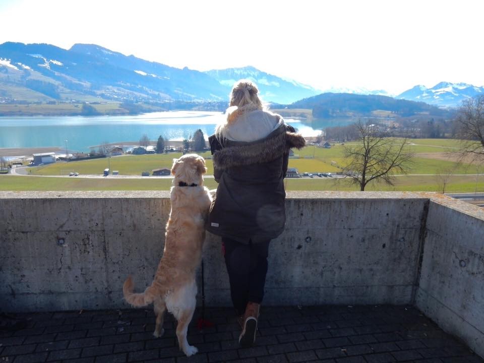 Op vakantie met je hond en tegelijkertijd geld verdienen?