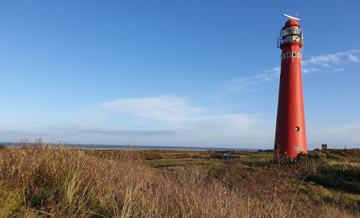 Waarom je echt een keer moet gaan wandelen op Schiermonnikoog