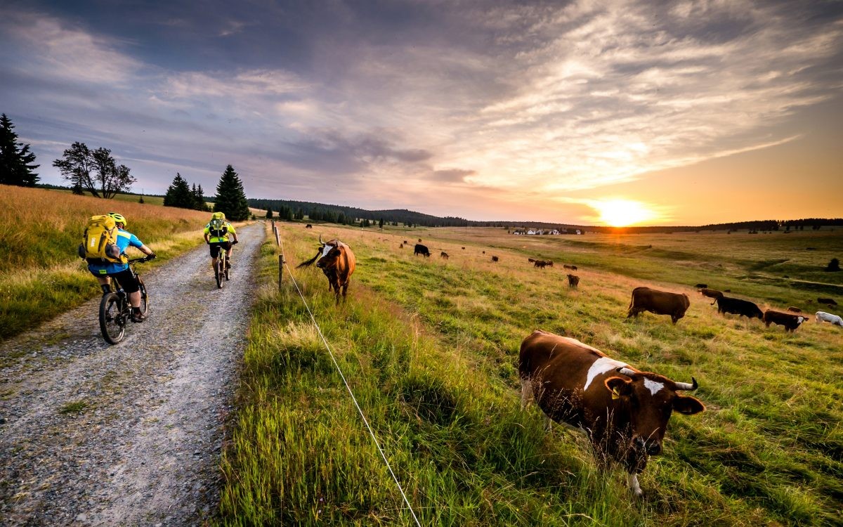 Tsjechië is een machtig mooie en pure outdoorbestemming