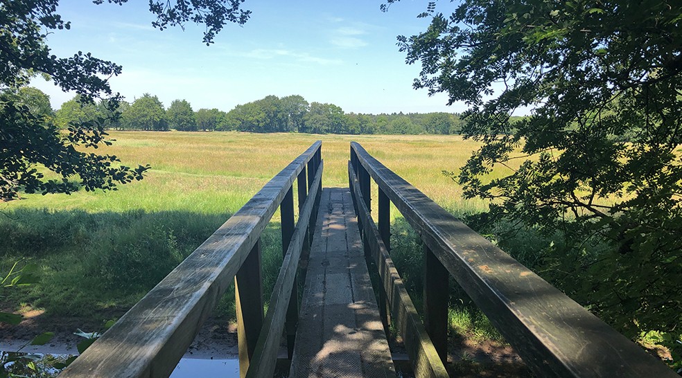 Het Pieterpad in Vogelvlucht | deel 2