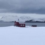 Reisverslag: Vader en zonen op avontuur op winters IJsland