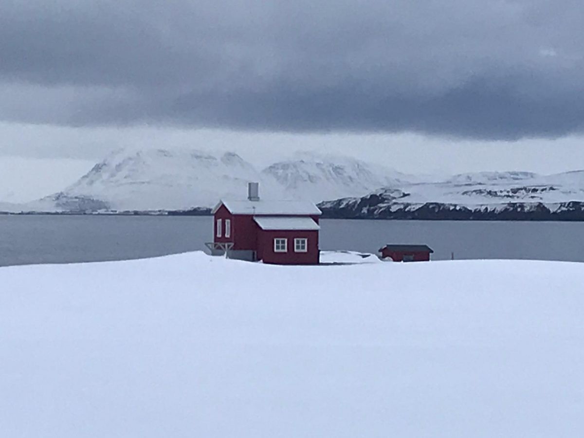Reisverslag: Vader en zonen op avontuur op winters IJsland