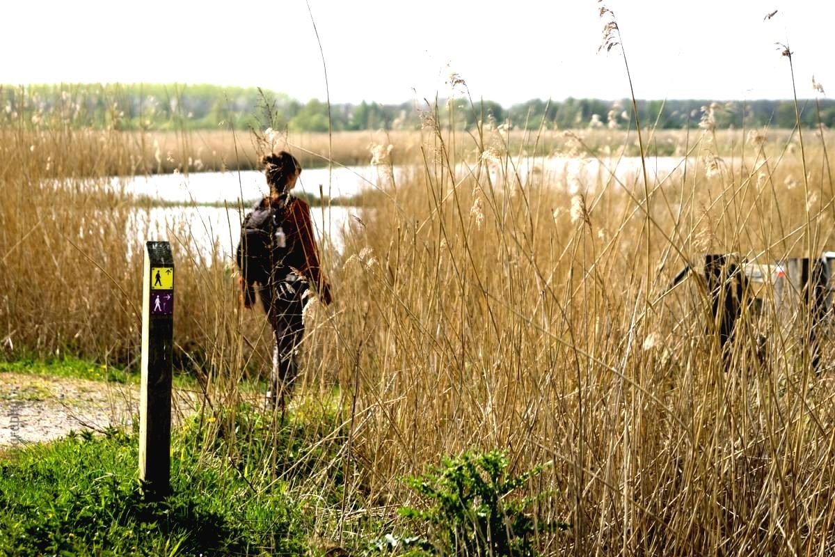 #OutdoorDichtbij: Dagwandelingen in Nederland in Corona-tijd