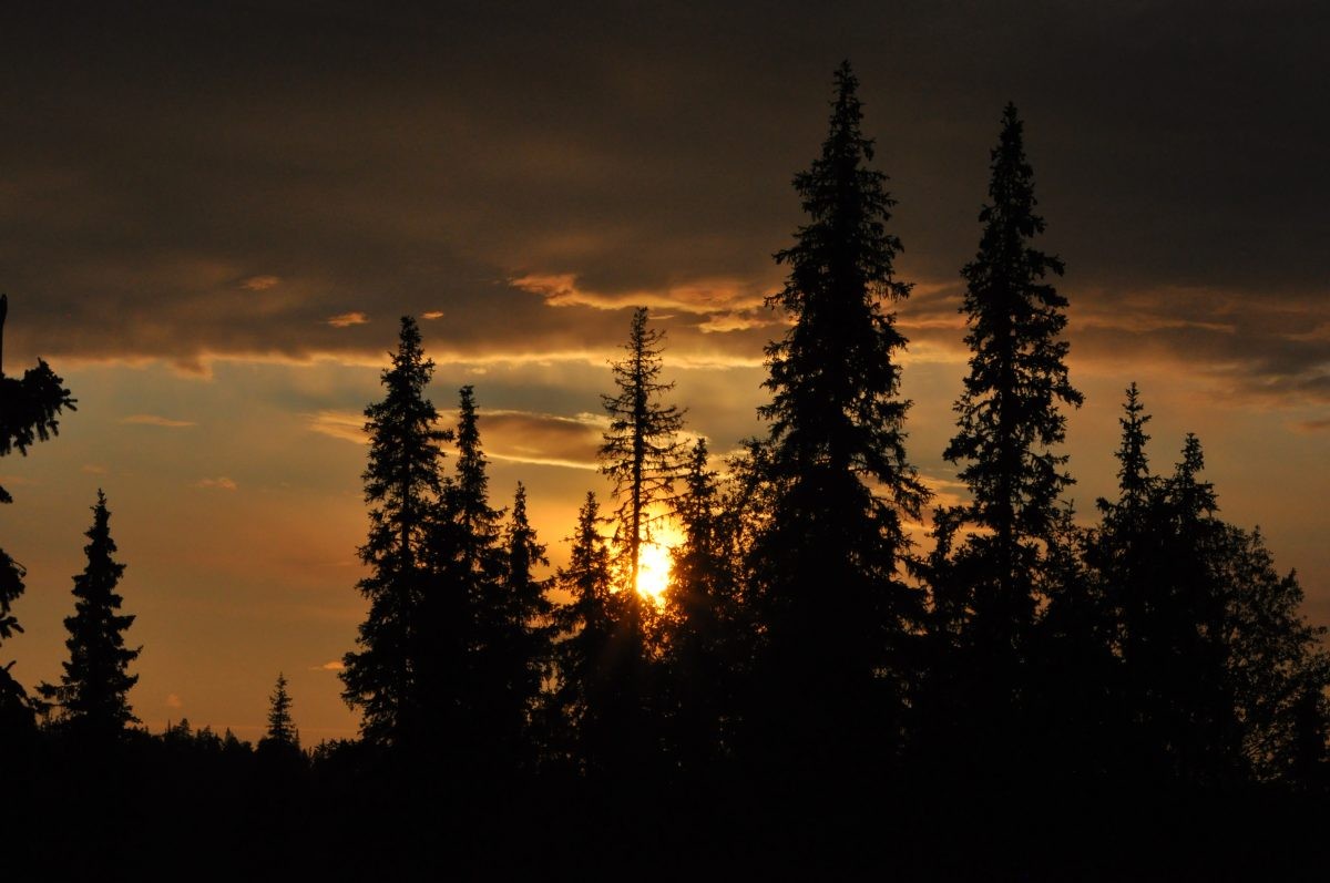 Magisch licht tijdens het Midzomerfeest in Fins Lapland