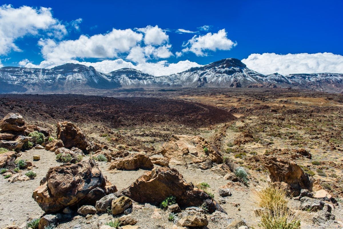 VIDEO: Inspirerend Tenerife #wellbeback
