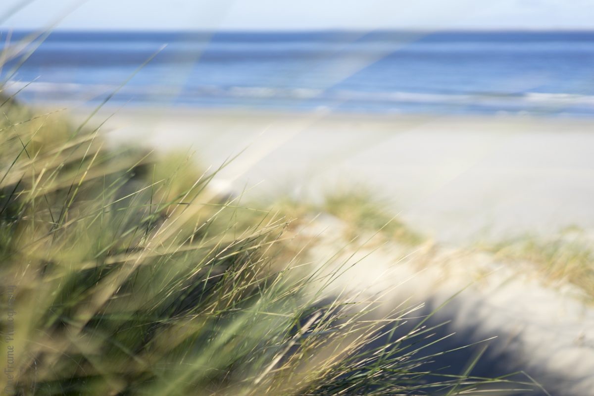 #Outdoor Dichtbij: In Nederland op vakantie in Coronatijd