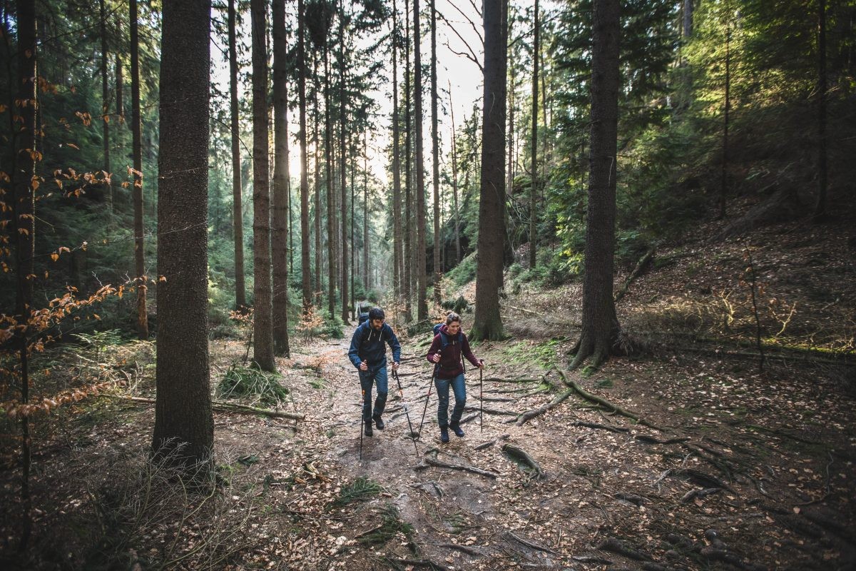 Wandelschoen Hanwag Banks: comfort en duurzaamheid