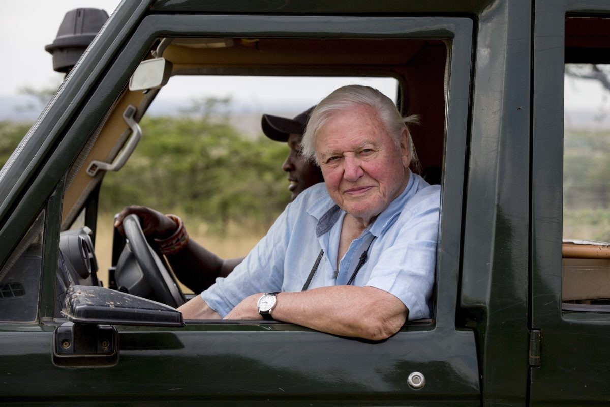 De nieuwe van David Attenborough: A Life On Our Planet