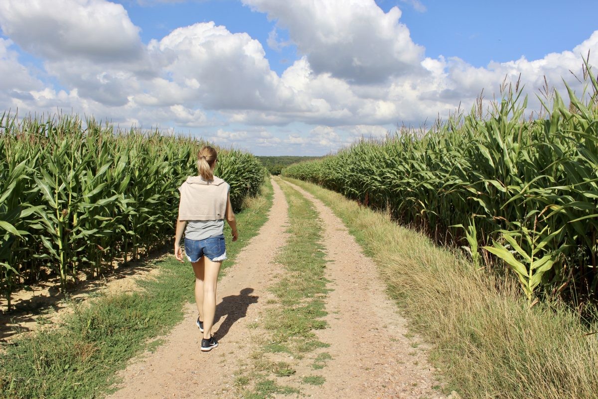 REISVERSLAG: Pain, vin en mooie hikes in Normandië vanaf Le French Time-camping