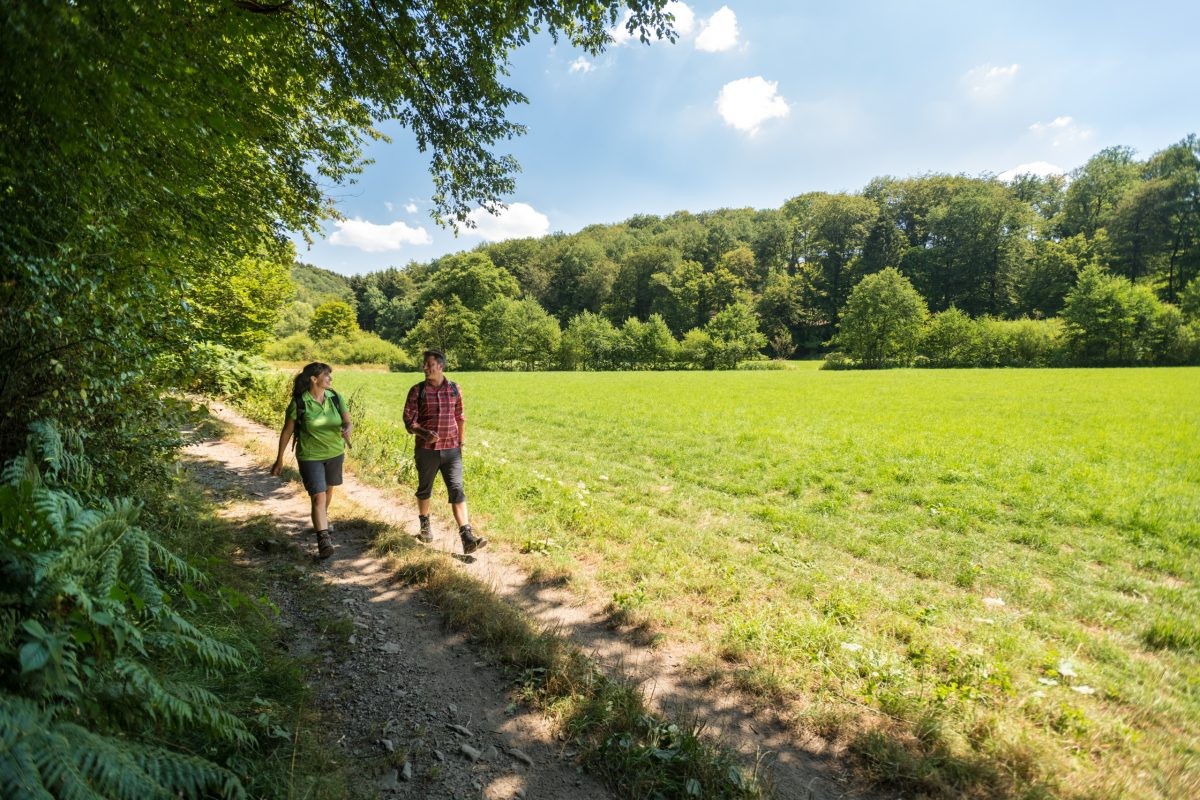 4000 km aan wandelpaden op slechts 2,5 uur rijden: ga wandelen in het Bergische Land