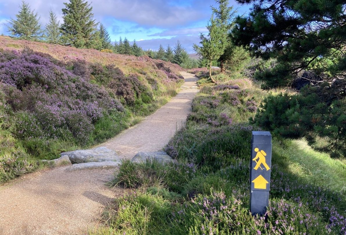 Wandelen in Ierland | De Wicklow Way