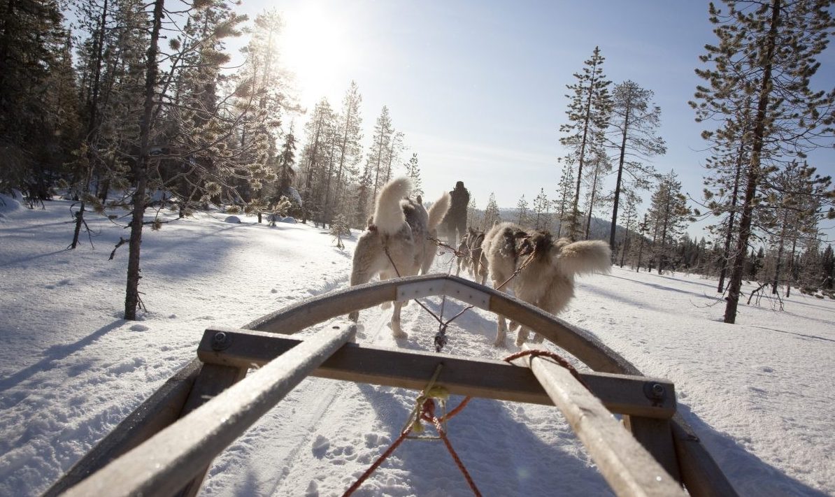 REISTIP | Een geweldig stoer winters avontuur in Fins Lapland