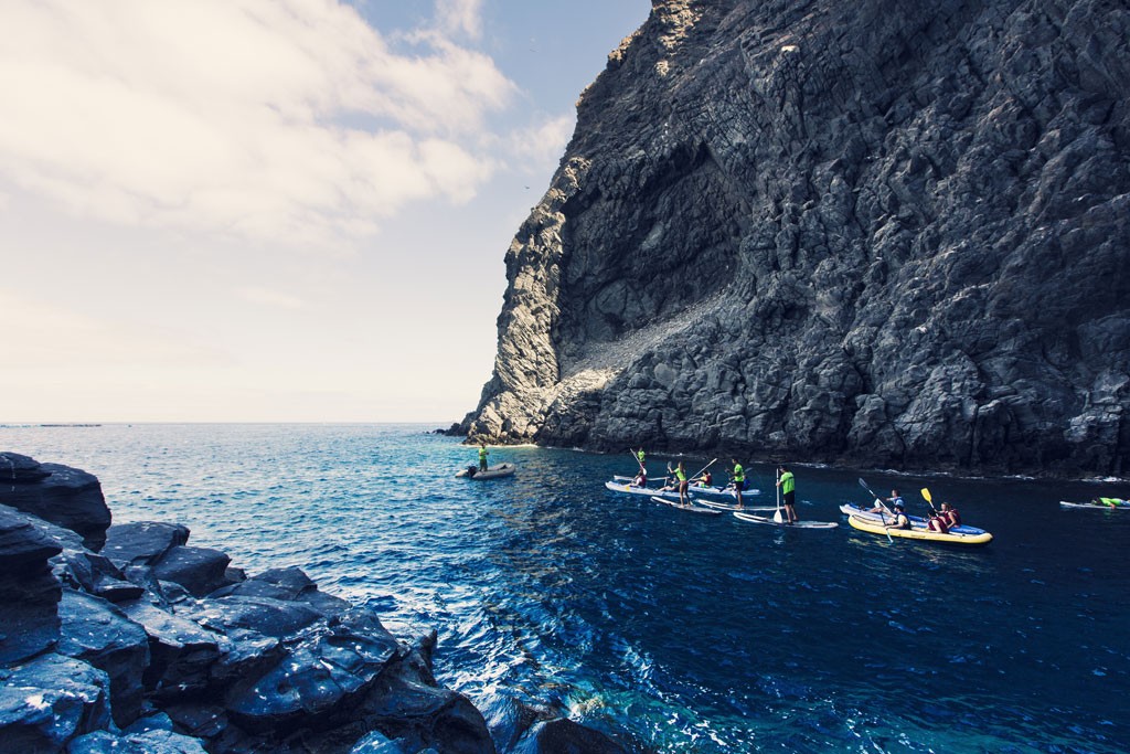 Kajakken en Stand-up paddling met dolfijnen op Tenerife